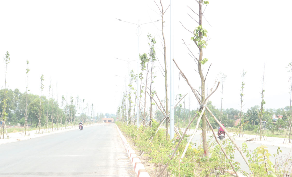 Phấn đấu hoàn thành các chỉ tiêu Nghị quyết năm 2019 Đường 3-2 nối dài cơ bản hoàn thiện, sắp khánh thành và đưa vào sử dụng