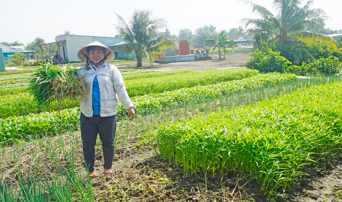 Chị Nguyễn Thị Kim Huệ, điển hình trong phong trào phát triển kinh tế gia đình