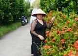 Nguyện đóng góp cho đời Nguyện đóng góp cho đời