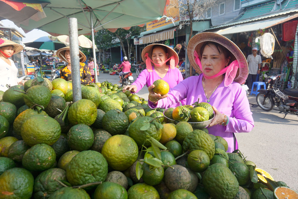 Ngoài tham gia câu lạc bộ văn nghệ - đờn ca tài tử, chị Nguyễn Thị Phượng và các chị em trong tổ phụ nữ còn thực hiện nhiều mô hình thiết thực như xách giỏ đi chợ, hạn chế sử dụng túi nylon