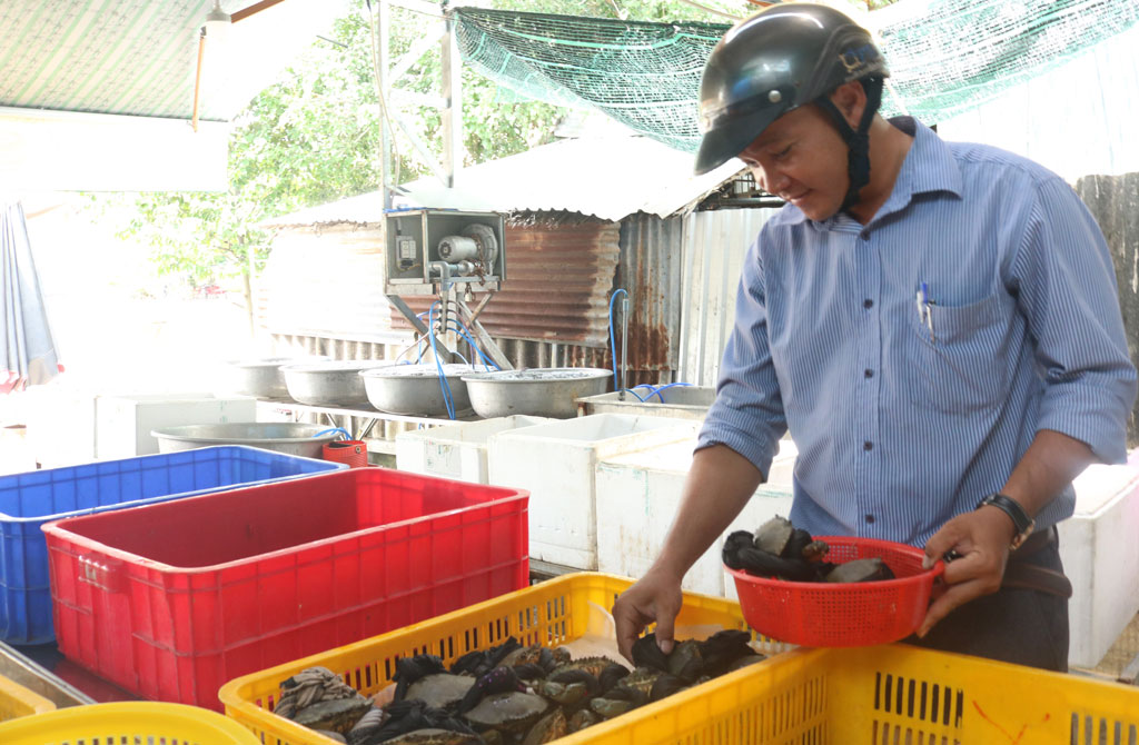 Khách hàng lựa chọn hải sản tại Cửa hàng Hải sản Sang Duyên 