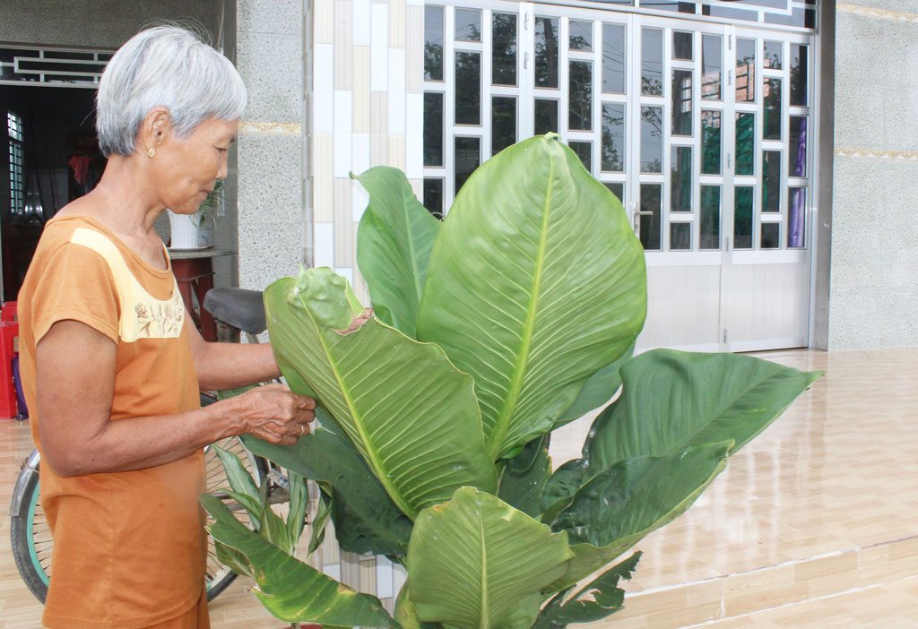 Bà Nguyễn Thị Long viết đơn xin ra khỏi hộ cận nghèo, vì muốn nhường sự giúp đỡ lại cho người khác