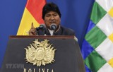 Bolivia: Tổng thống Evo Morales và hàng loạt quan chức đệ đơn từ chức