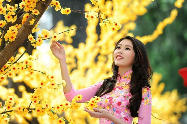 Illustrative photo (Photo: VNA)