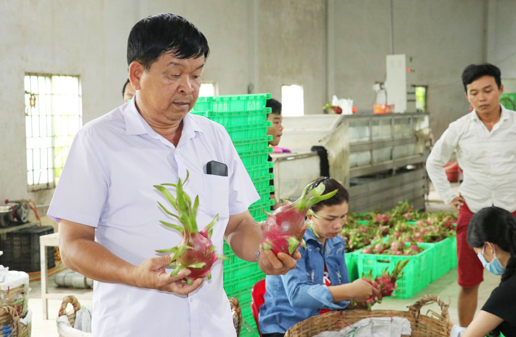 Chuyện về ông An 'thanh long' Ông An luôn chú trọng đến xây dựng thương hiệu thanh long của hợp tác xã. Đồng thời mong muốn sẽ đưa thanh long của hợp tác xã đến nhiều thị trường “khó tính” trên thế giới