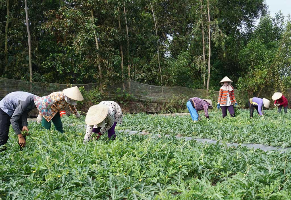 Mộc Hóa: Phấn đấu đến năm 2020 có 1 xã đạt chuẩn nông thôn mới