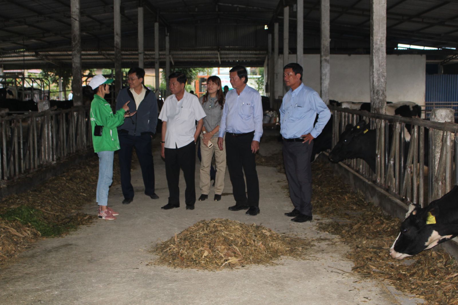 Long An mission learns experiences of hi-tech agriculture model in Son La province Long An mission visit a dairy cattle farm in Moc Chau district
