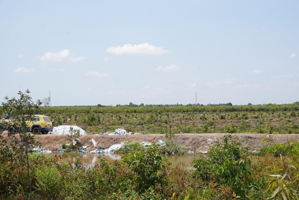Đất lâm nghiệp tại xã Long Thành, huyện Thủ Thừa chuyển đổi sang sản xuất trang trại