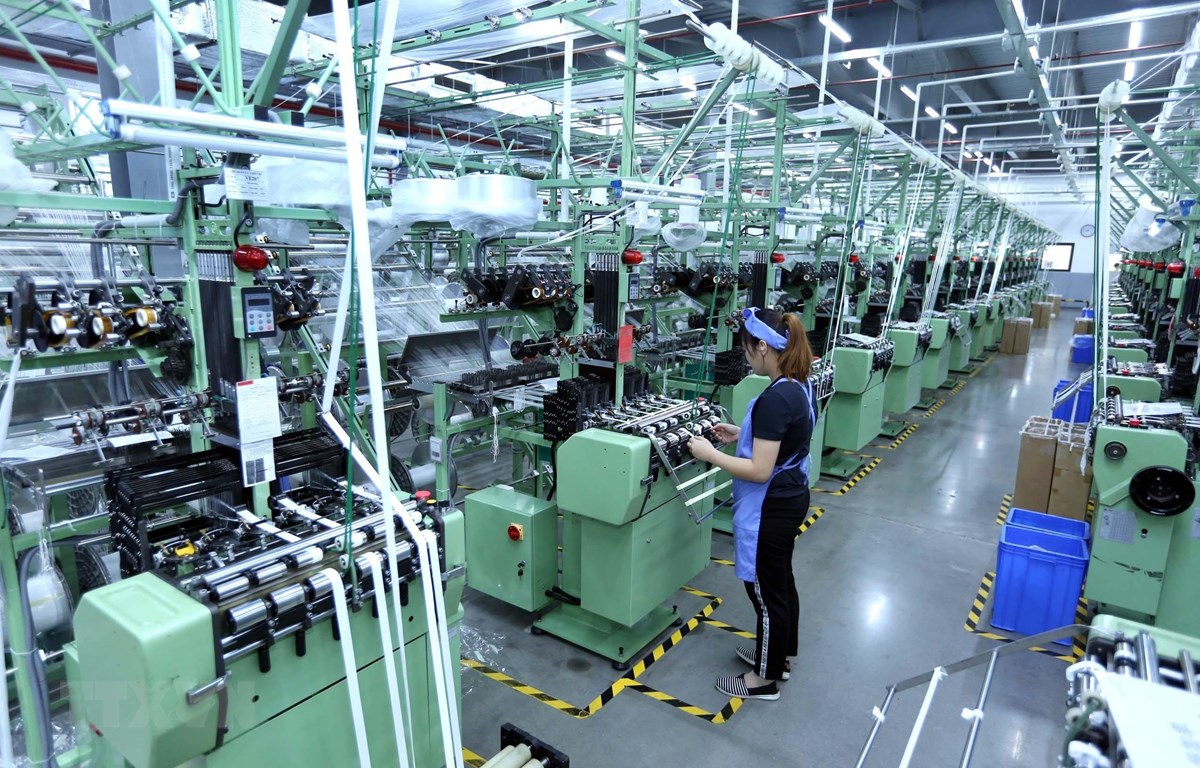 Triển vọng phát triển của kinh tế Việt Nam trong năm tới Dây chuyền sản xuất vải dệt kim tại Công ty TNHH Best Pacific Việt Nam. (Ảnh: Danh Lam/TTXVN)