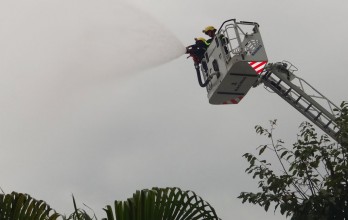 Công ty Cổ phần May xuất khẩu Long An: Xây dựng đơn vị an toàn về an ninh, trật tự