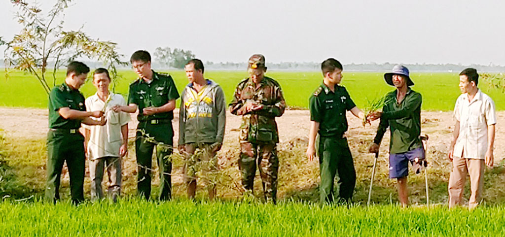 Cán bộ, chiến sĩ Đồn biên phòng Sông Trăng phối hợp Cảnh sát bảo vệ biên giới cùng nhân dân tham quan cánh đồng kiểu mẫu