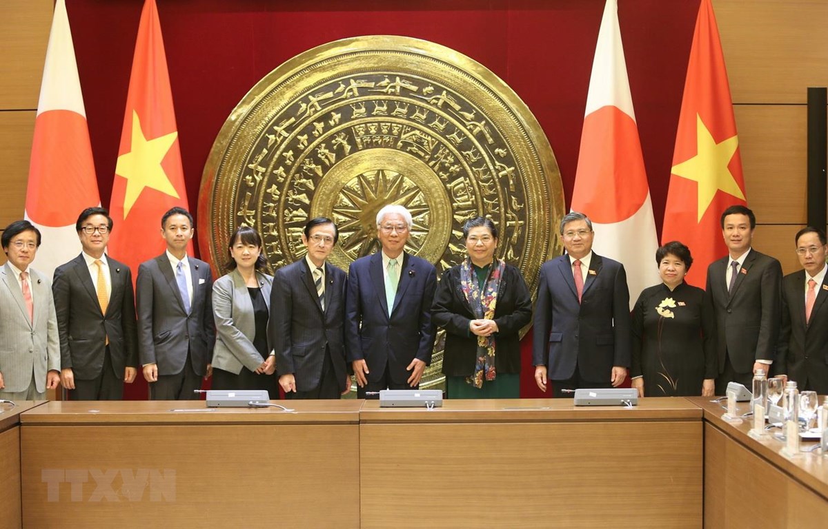 Phó Chủ tịch Thường trực Quốc hội Tòng Thị Phóng và Phó Chủ tịch Thượng viện Nhật Bản Ogawa Toshio cùng thành viên đoàn hai nước chụp ảnh chung. (Ảnh: Dương Giang /TTXVN)