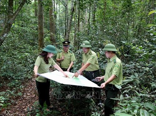 Vietnam to boost tourism development in protective forests Developing tourism and services in protective and special-use forests in parallel with conservation will become a key part of the national economy in the future (Photo: VNA)