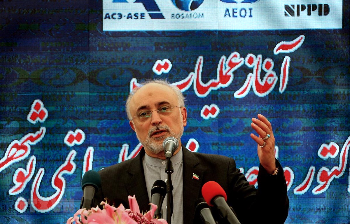 Người đứng đầu Tổ chức Năng lượng Nguyên tử Iran (AEOI) Ali Akbar Salehi phát biểu tại một sự kiện ở Bushehr ngày 10/11 vừa qua. (Ảnh: AFP/TTXVN)