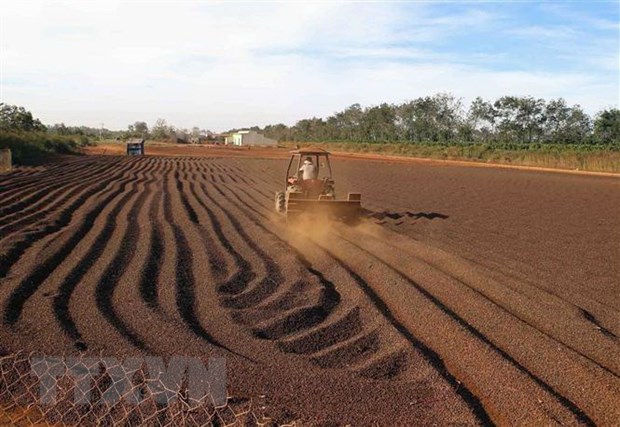 Phó Thủ tướng: Phấn đấu hoàn thành kế hoạch phát triển KT-XH 2020