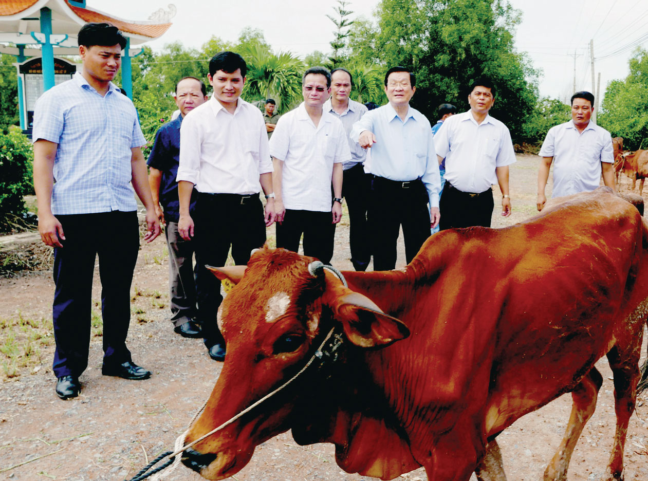 Bác Tư Sang cùng nhà tài trợ tặng bò giống cho  bà con nghèo tại huyện Mộc Hóa