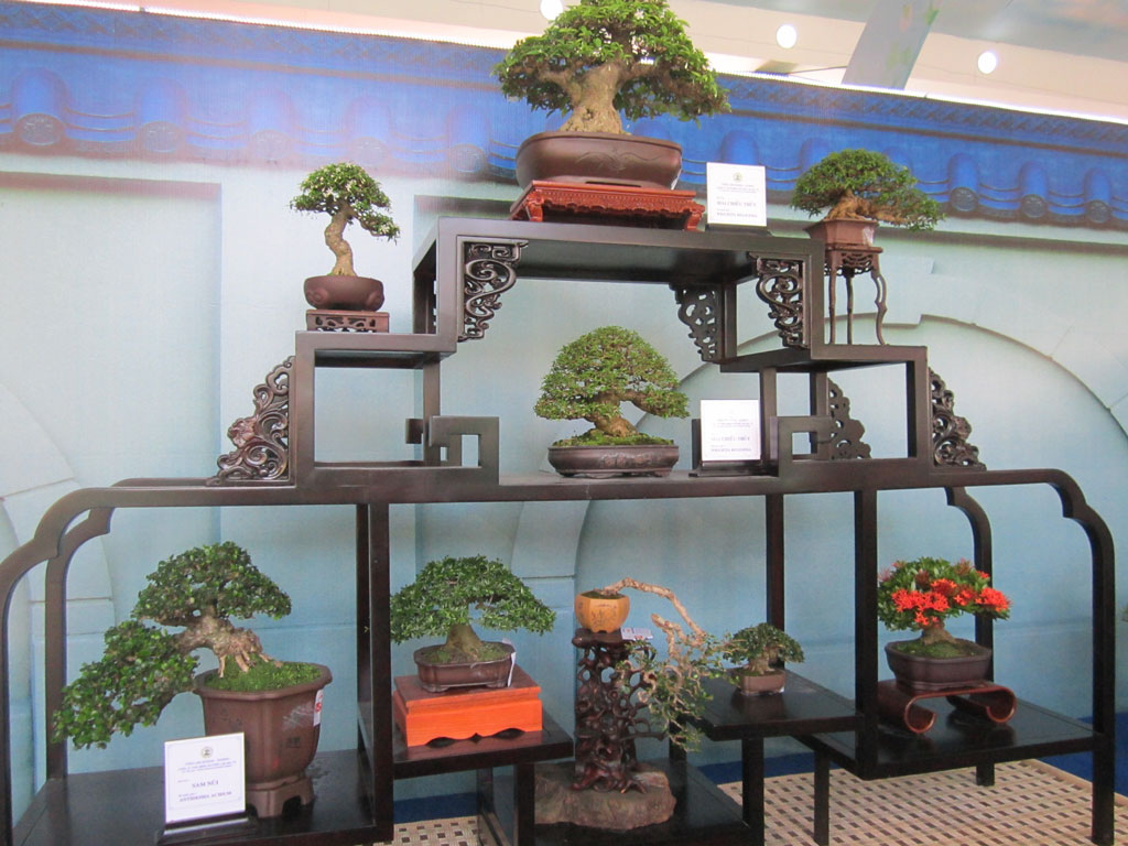 Kệ bonsai mini trang trí phòng khách