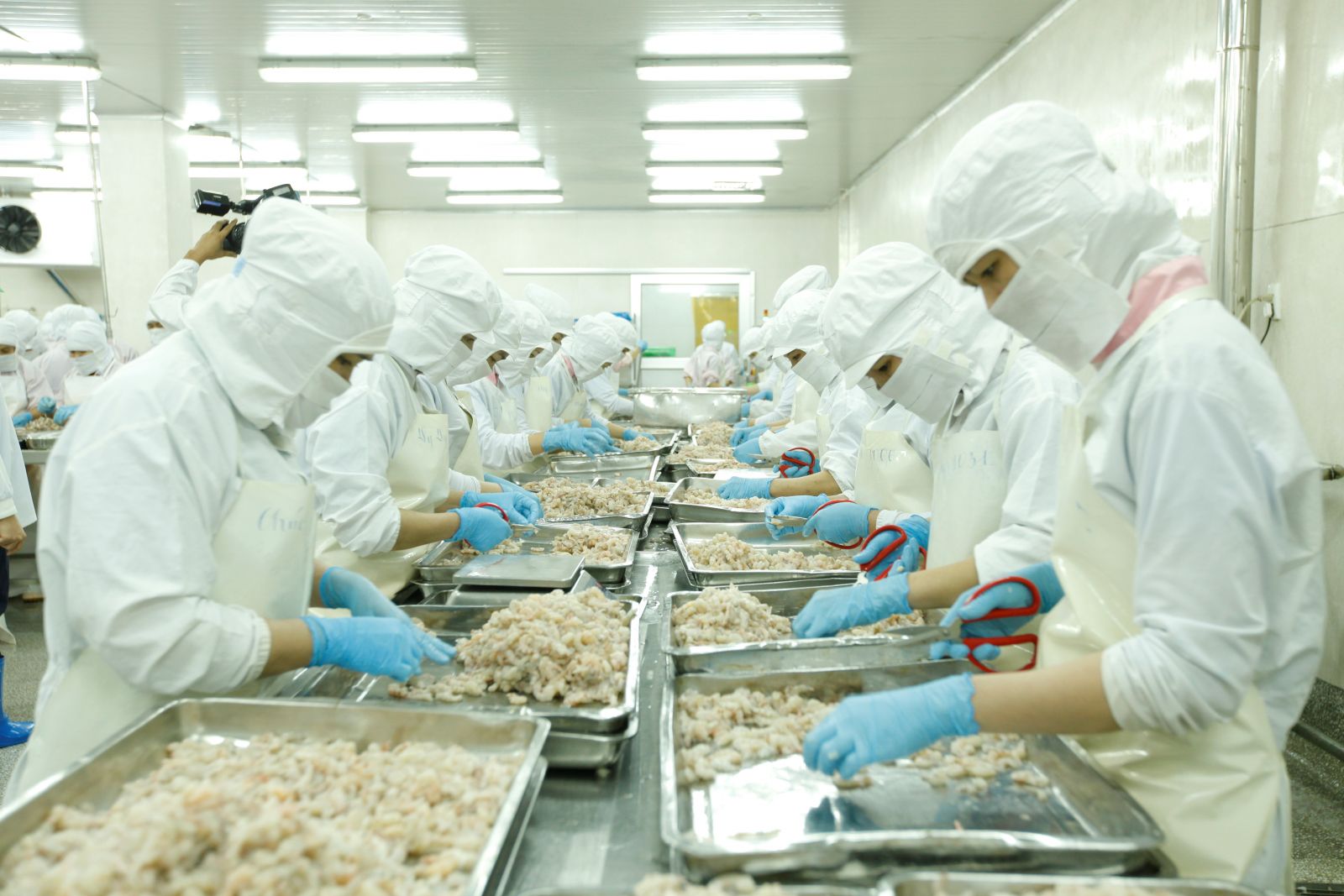 Long An: Economic growth rate 2020 expected to achieve 9.5 - 9.6 percent Long An strives to achieve an economic growth rate of 9.5-9.6 percent in 2020 (Illustrated image)