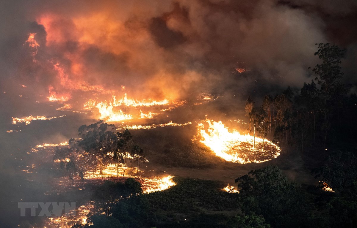 Các đám cháy rừng lan rộng tại bang Victoria, Australia. (Ảnh: AFP/TTXVN)