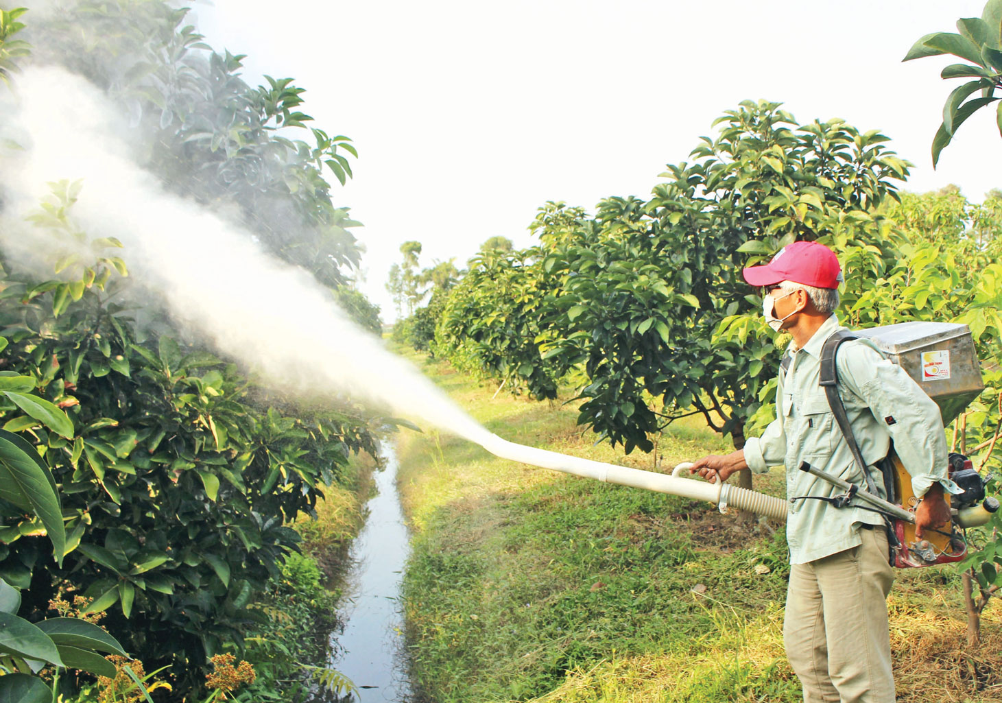 Ông Trần Trọng Đức đang sử dụng máy phun vôi  do mình sang chế