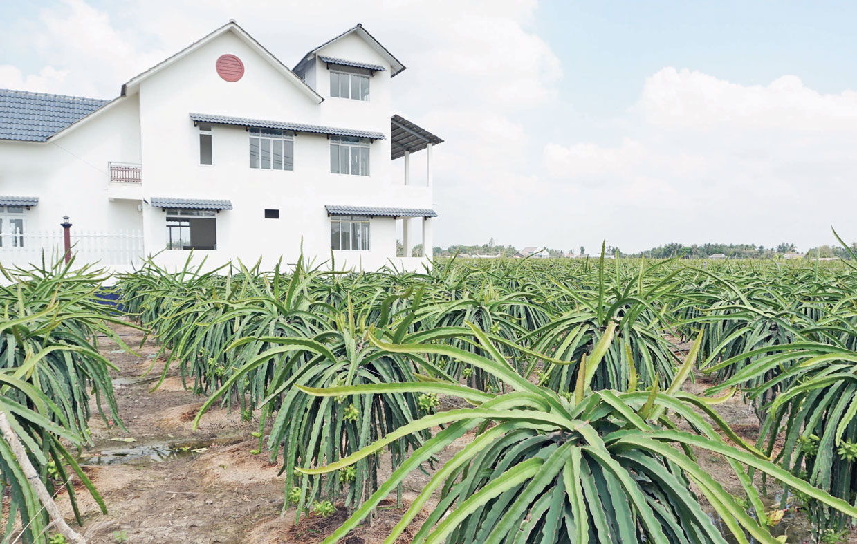 Nhiều ngôi nhà khang trang  mọc lên ở những xã nông thôn mới