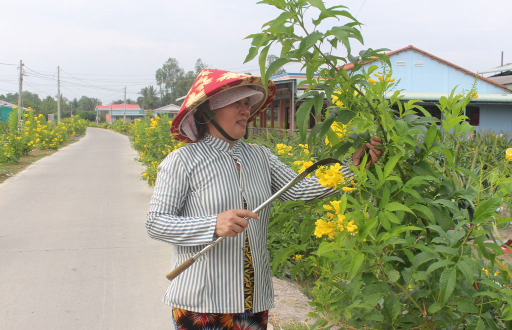 Để duy trì những tuyến đường hoa đẹp, hội viên phụ nữ xã Thanh Phú Long góp nhiều công sức để chăm sóc, bảo vệ