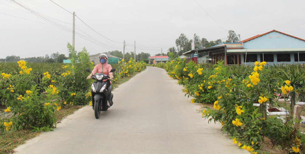 Những tuyến đường nông thôn trên địa bàn xã Thanh Phú Long luôn sạch sẽ và tràn ngập hoa tươi