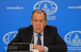 Nỗ lực của Nga đóng góp đáng kể vào hòa bình ở Syria và Libya