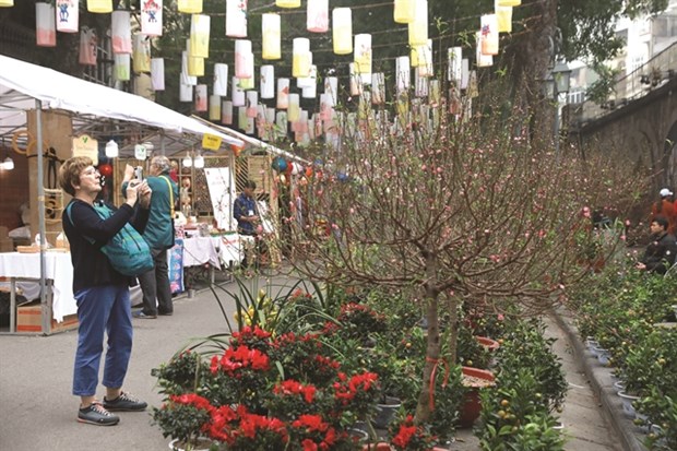 Foreigners are interested in bonsai and paintings displayed at the site. (Photo: VNS)