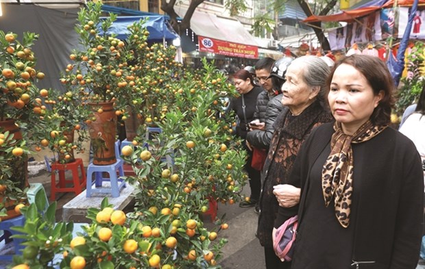 Hanoians visit the market not only for shopping but also to enjoy spring atmosphere when the lunar new year approaches. (Photo: VNA)