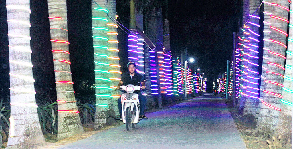 Đường Ông Đồ Nghị (đường hàng cau), thị trấn Tân Trụ được trang trí đèn led để đón Tết Nguyên đán Canh Tý 2020