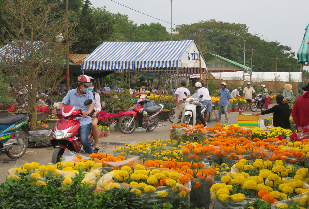 Mang tết về nhà