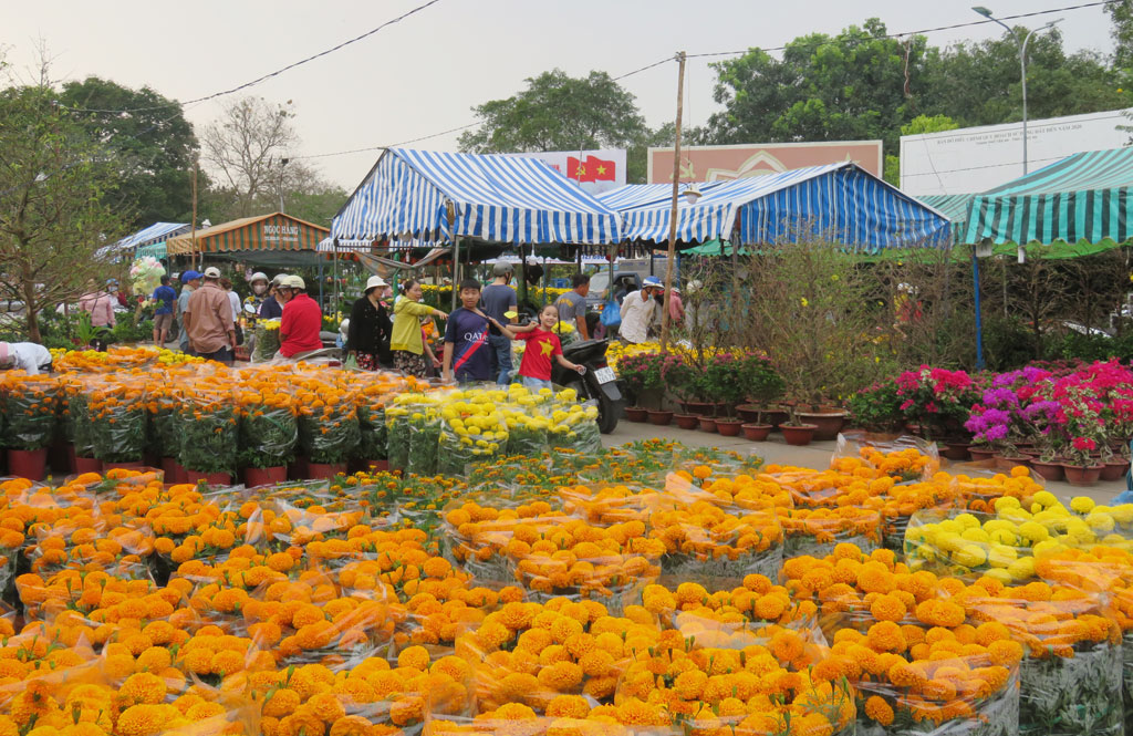 Mang tết về nhà
