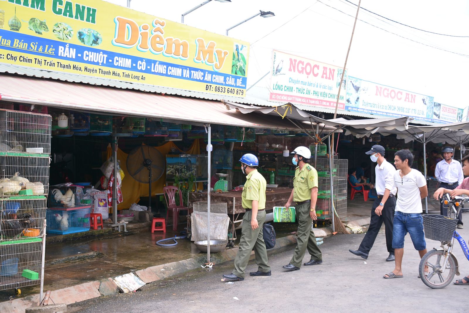 Unknown original wildlife trade shops checked and minuted