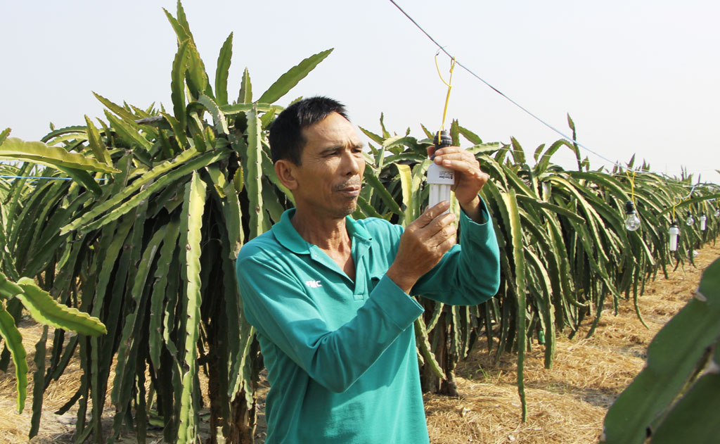 Ông Trần Văn Bảy tham gia tổ hợp tác sản xuất được 3 năm, thấy mình thu được nhiều lợi ích