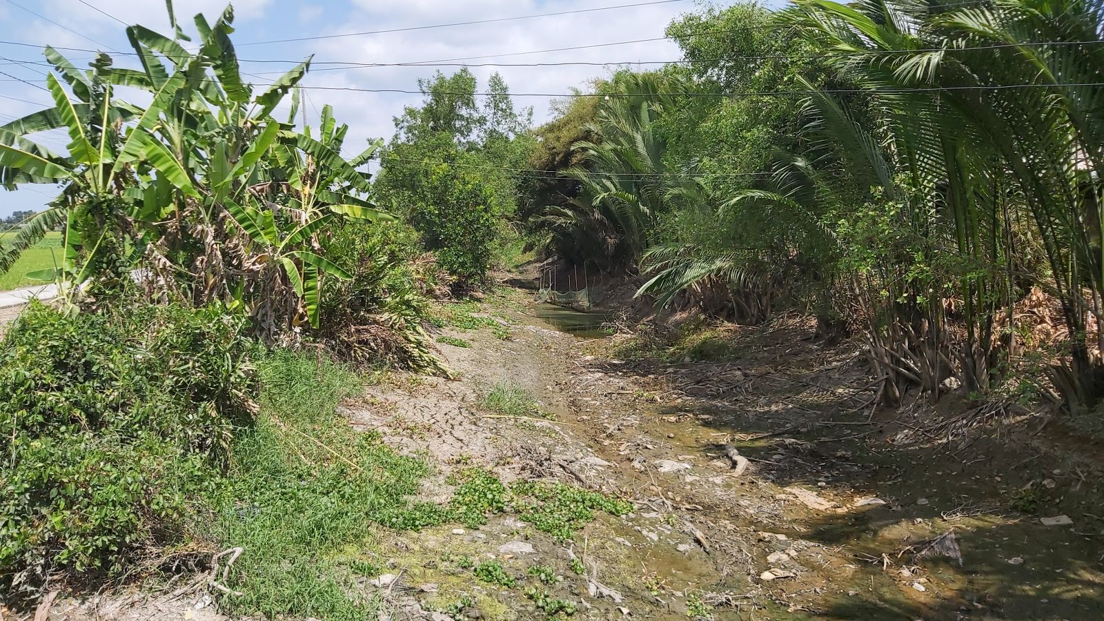 Một dòng kênh khô cạn