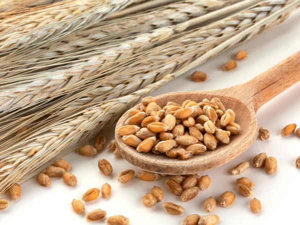 Ngũ cốc: Các chuyên gia khuyến cáo bệnh nhân tiểu đường nên ăn các loại ngũ cốc ít qua chế biến nhất như gạo nâu, hạt kê, lúa mì nguyên hạt và lúa mạch nguyên hạt.