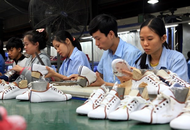 VN needs to improve structural reform, competitiveness to tap CPTPP opportunities Producing footwear for export (Photo: VNA)