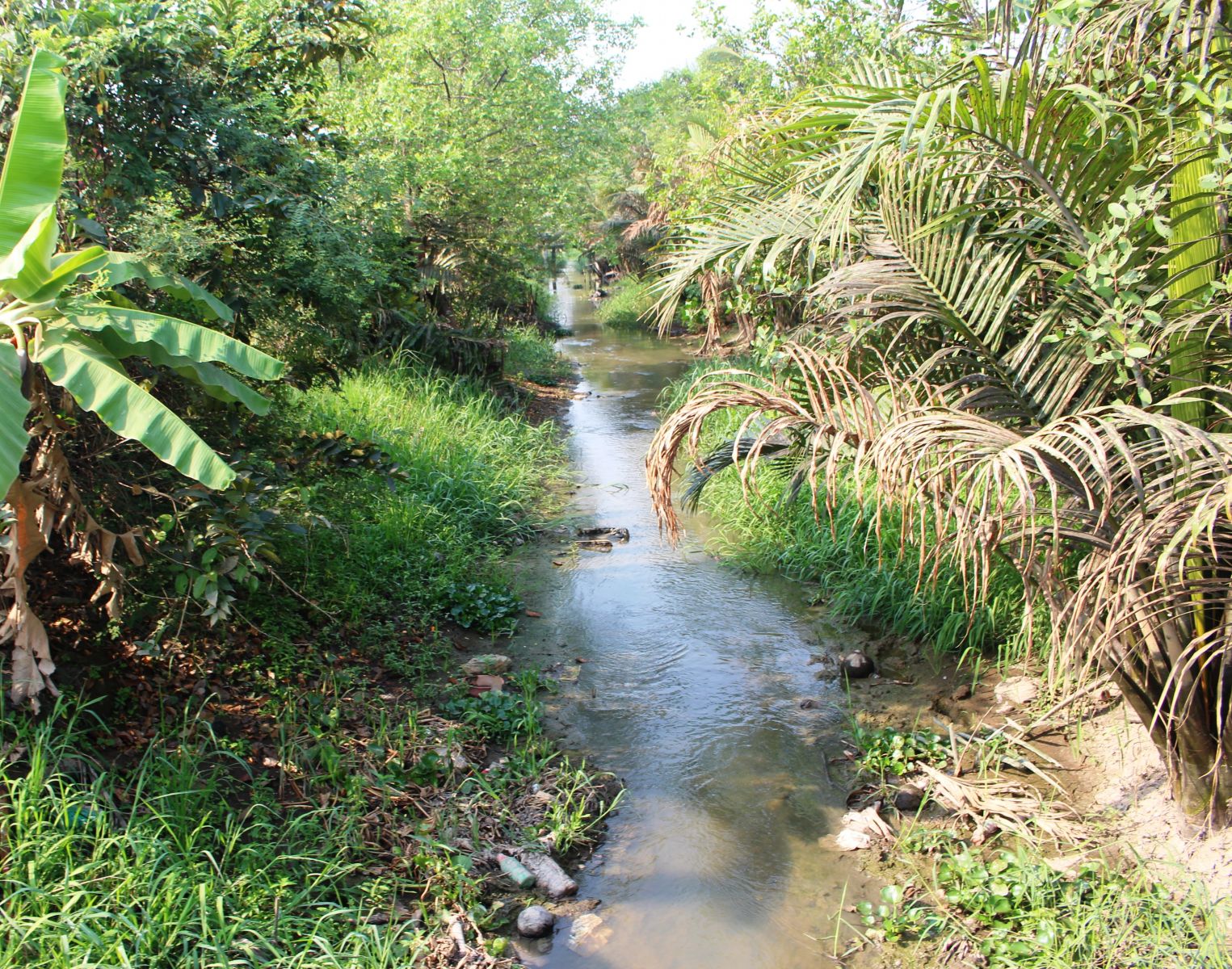 The channels and canals in Tan Tru district have very little water