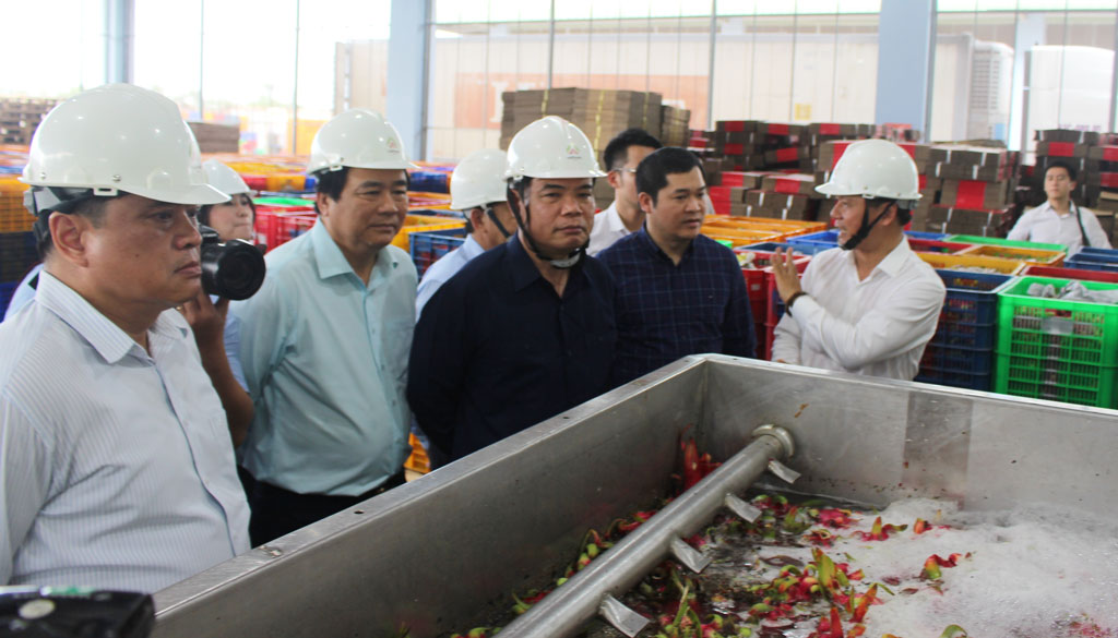 Đẩy mạnh phát triển công nghiệp chế biến nông sản Theo Bộ trưởng Bộ Nông nghiệp và Phát triển nông thôn - Nguyễn Xuân Cường, Long An là địa phương thực hiện hiệu quả đề án tái cơ cấu ngành nông nghiệp, có rất nhiều doanh nghiệp liên kết tiêu thụ và chế biến