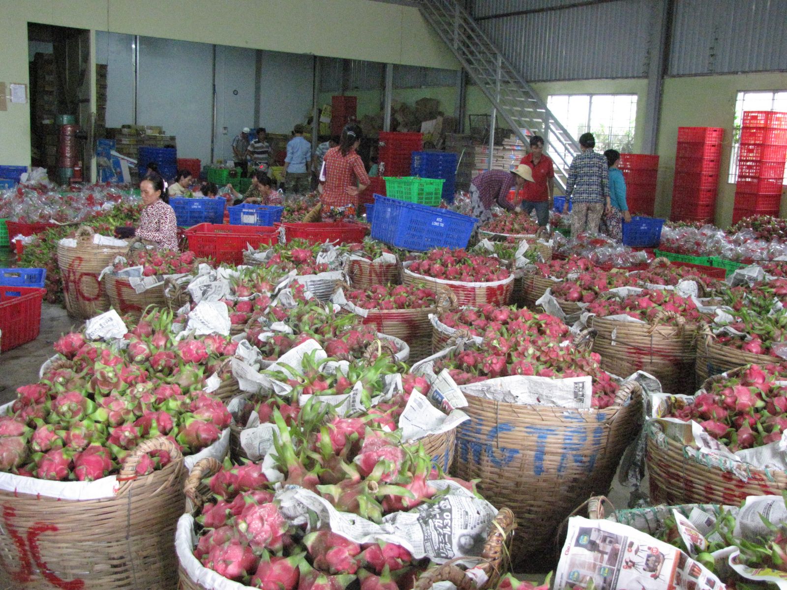 Long An Department of Industry and Trade proposed to reduce lending interest rates for businesses to overcome difficulties due to Covid-19