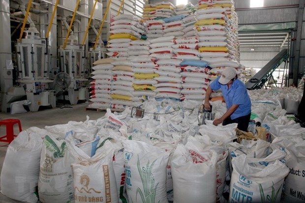 Rice export prices surge amid high demand Rice for export (Photo: VNA)