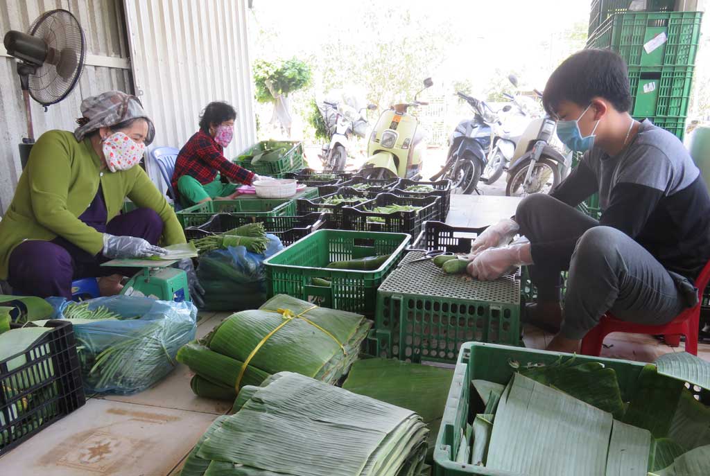 “Mặc” lá chuối cho rau, quả Rau, quả được dùng lá chuối gói tại Hợp tác xã Tân Kim, chuẩn bị giao cho khách hàng