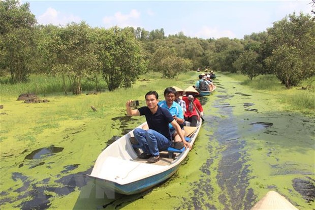 Hằng năm, rừng tràm Trà Sư đón hàng triệu lượt khách du lịch trong và ngoài nước đến tham quan. (Ảnh minh họa. Thanh Sang/TTXVN)