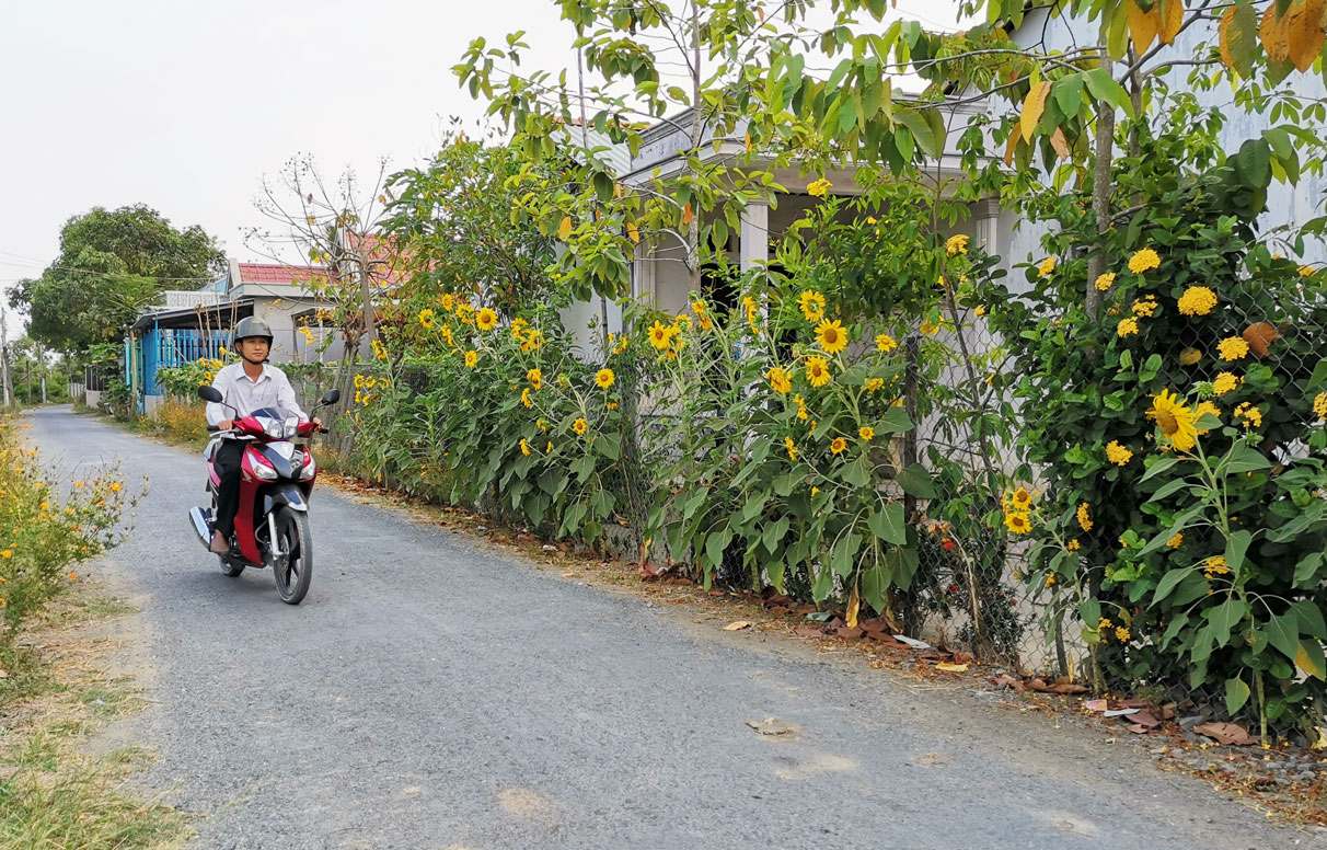 Long Khê tập trung chuẩn bị cho đại hội điểm Đường giao thông nông thôn sạch, đẹp, người dân trồng hoa để tạo cảnh quan
