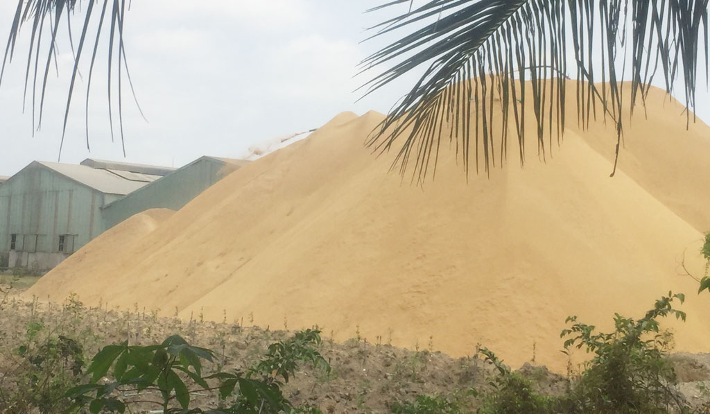 Bụi trấu, cám từ Công ty TNHH MTV Dũng Tân Tây thải ra một bãi đất trống chất đầy như núi rồi cứ để bụi “tung hoành” tự do thổi bay vào nhà người dân quanh khu vực