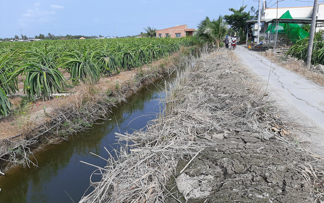 Tuyến kênh Cầu Chùa tại xã Phước Tân Hưng được người dân góp tiền nạo vét để đưa nước về tưới thanh long