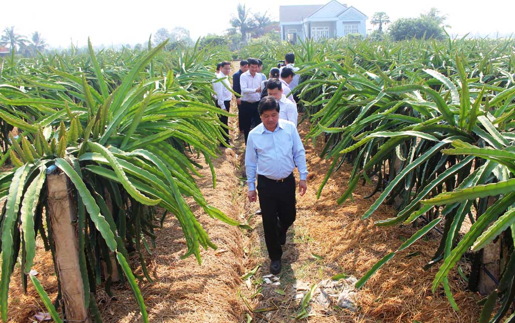 Bài 2: Cây ăn trái nguy cơ thiếu nước tưới nghiêm trọng