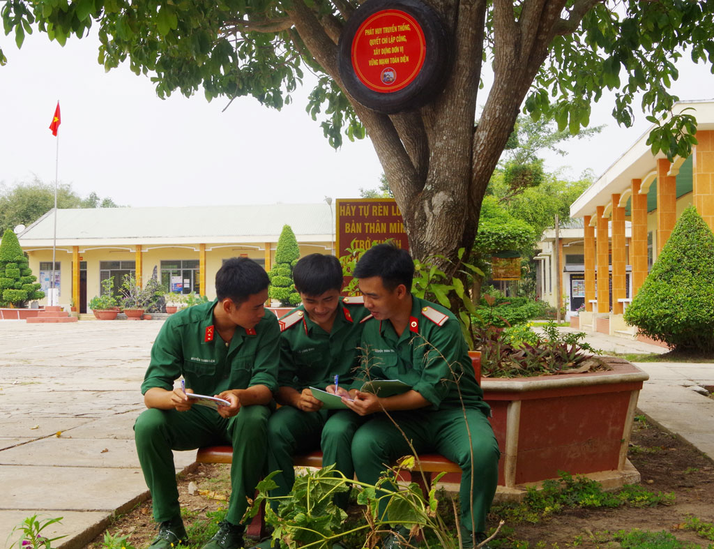 Bảng tuyên truyền gắn trên cây xanh của đoàn viên, thanh niên Đại đội Bộ binh huyện Đức Huệ