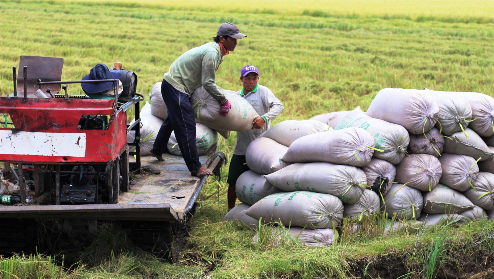 An ninh lương thực là vấn đề quan trọng cho mọi quốc gia